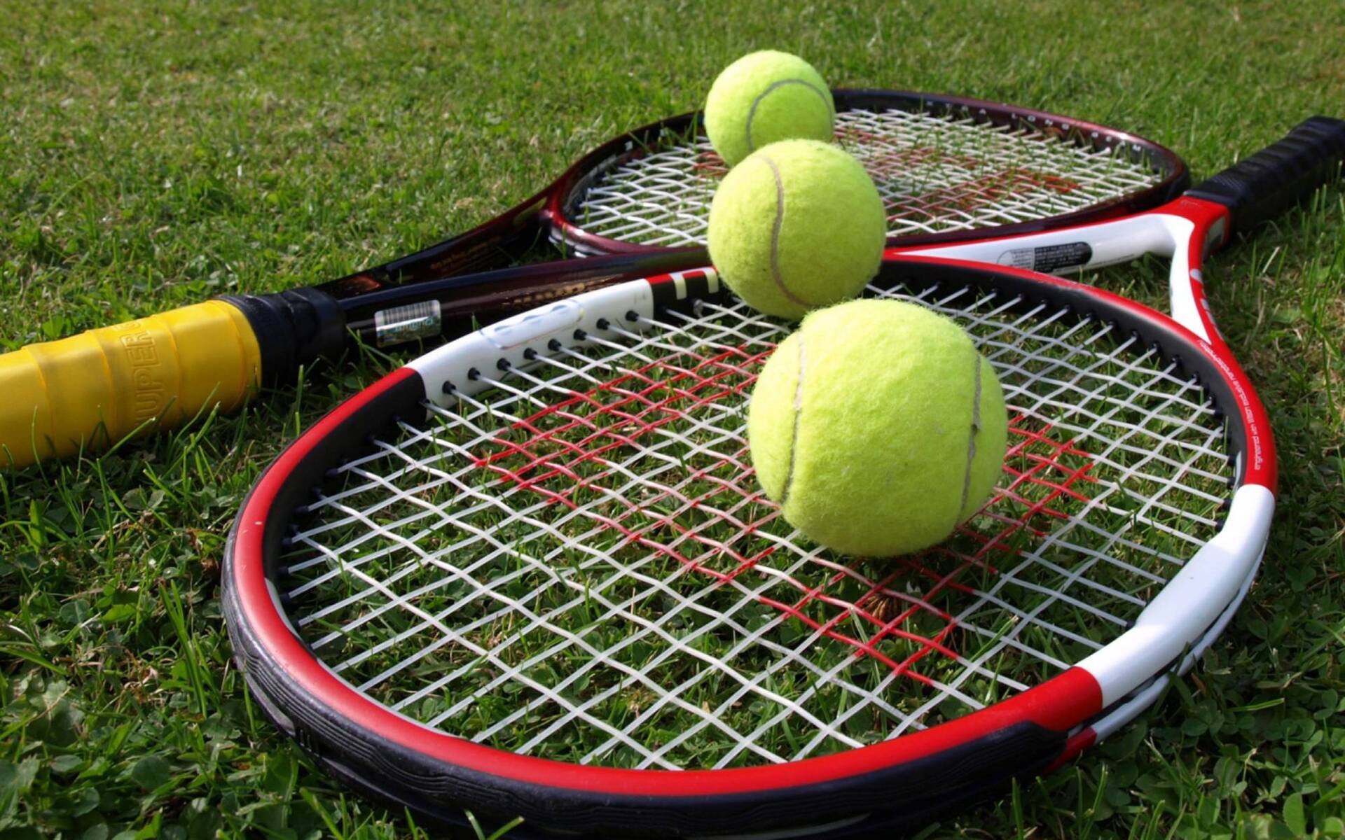 From Grand Slams to Daily Tours: How Tennis Streams Keep Fans Connected Live